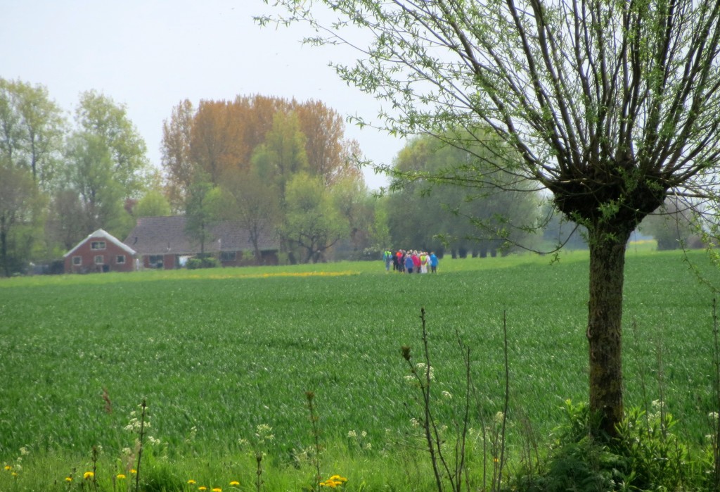 Een groepje mensen bewandelt de Woldweg