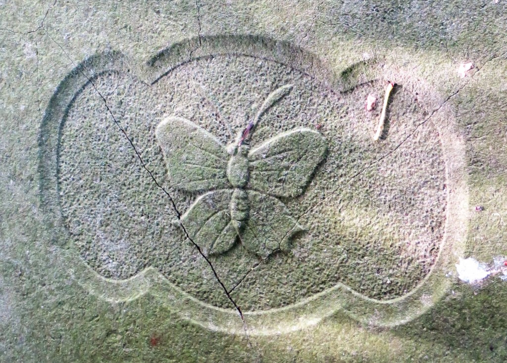 Vlinder op een graf te Solwerd