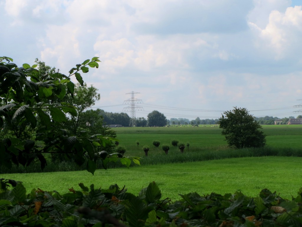 Uitzicht vanaf Groot Wetsinge op de Valgeweg en Klein Wetsinge