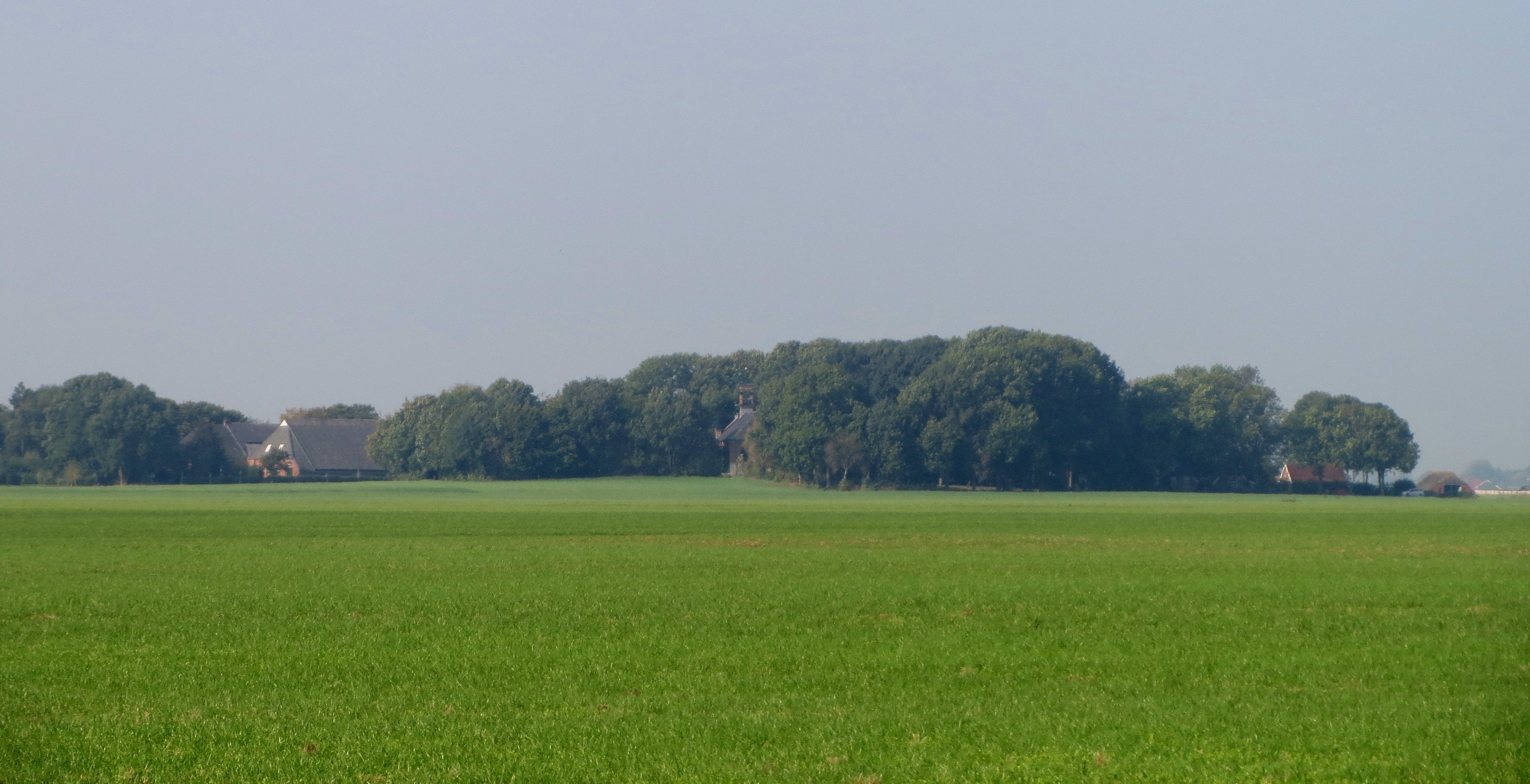 Wittewierum in de verte