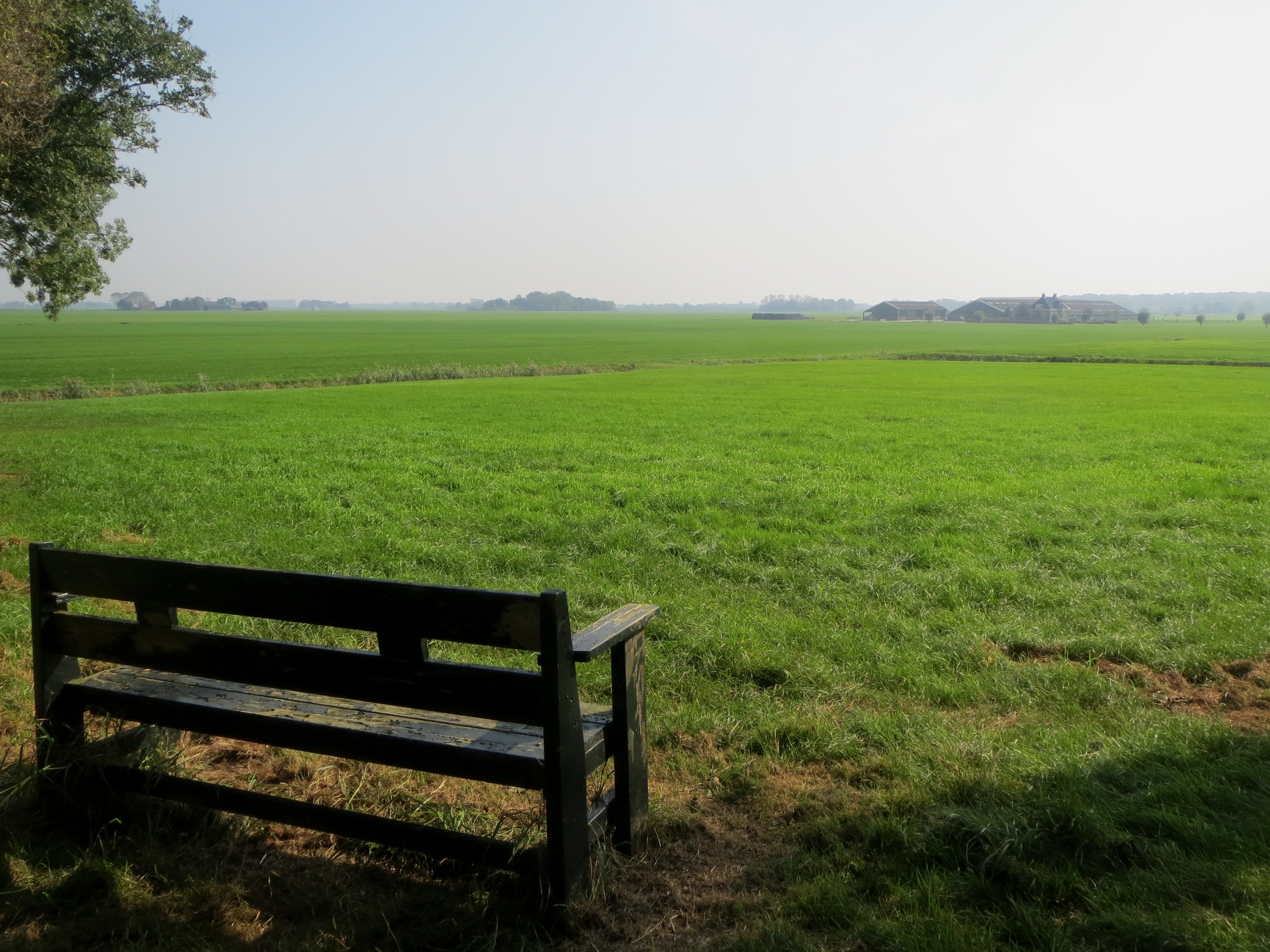 Een bankje kijkt uit over de wierde van Wittewierum, waar ooit de kloostergebouwen stonden