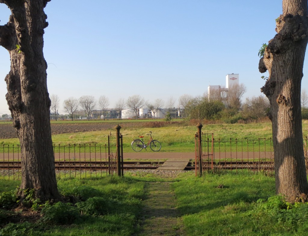 Op pad naar de Oosterhoek