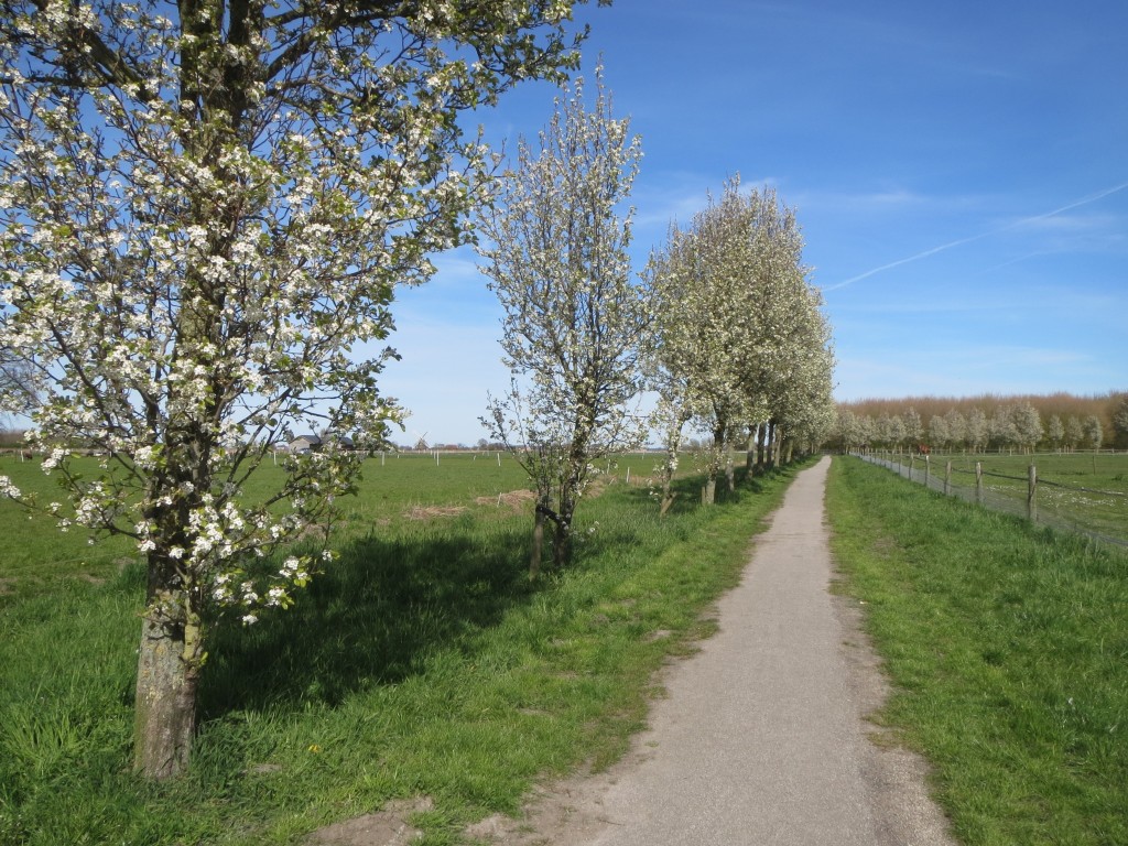 Noorddijk