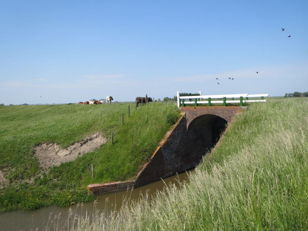 Noordpolder, Groningen