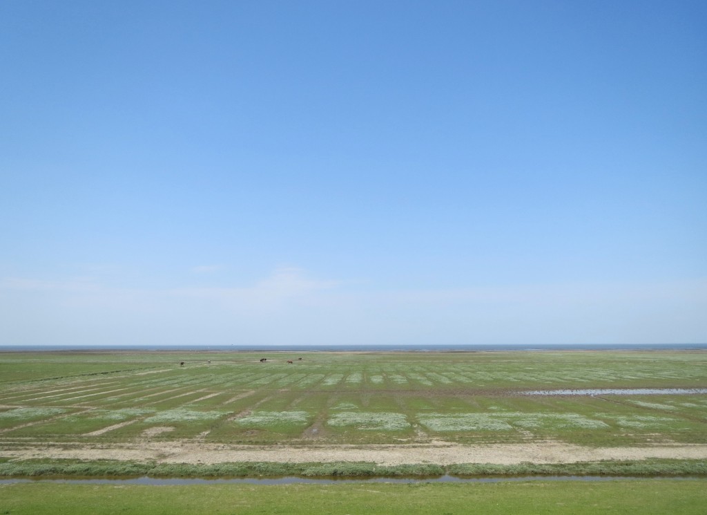 Noordpolder, Groningen