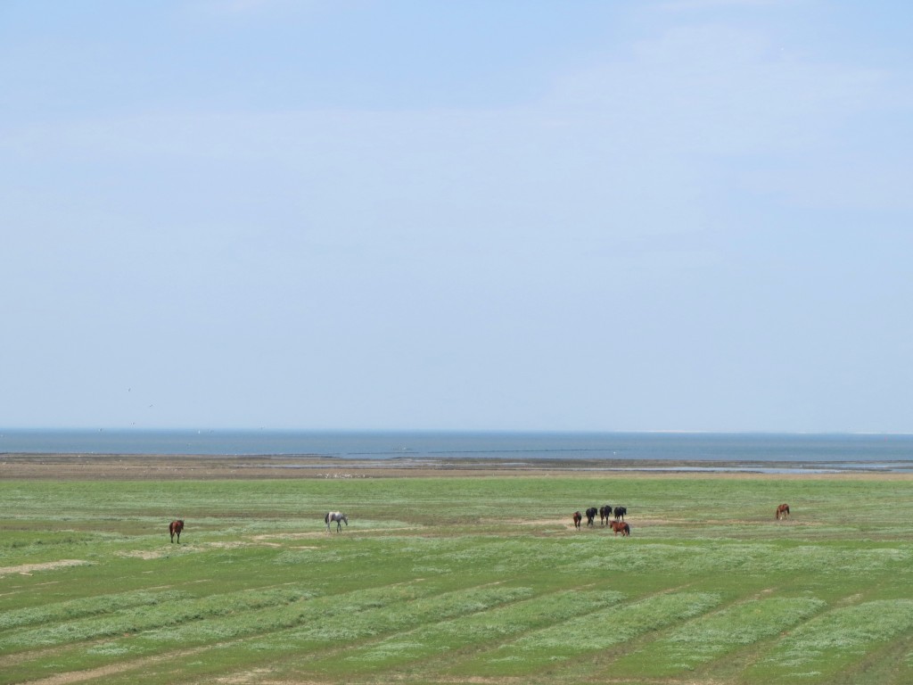 Noordpolder, Groningen