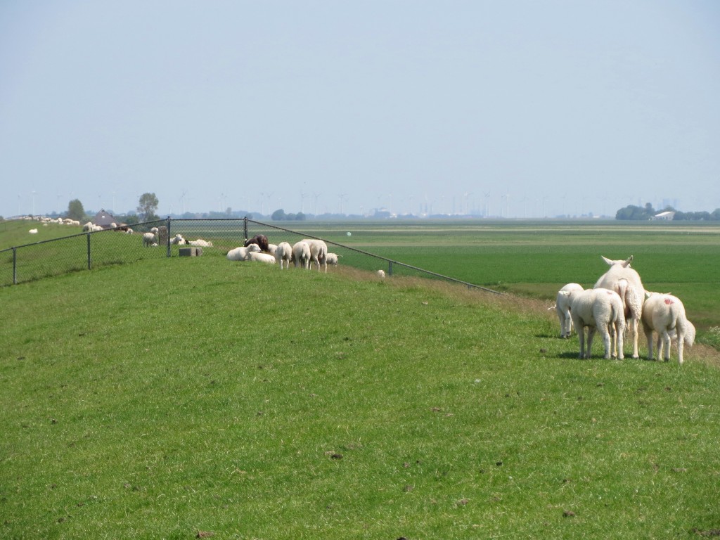 Noordpolder