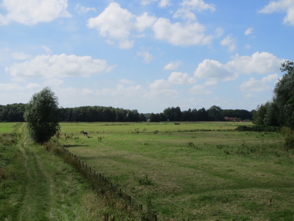 Het voormalige borgterrein van Selwerd