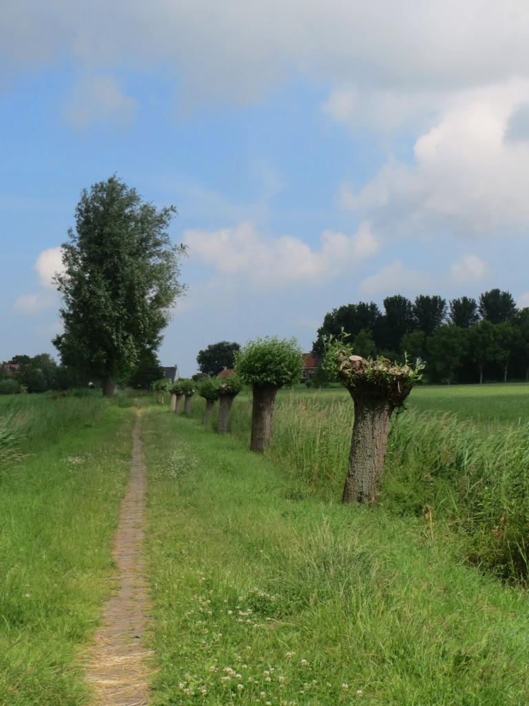 Valgeweg