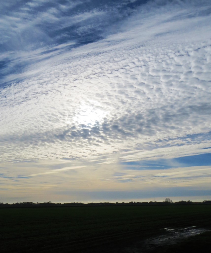 Mooie lucht boven de polders