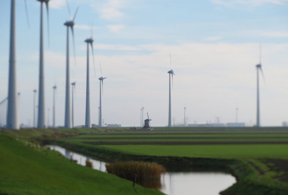 De Goliath in de Emmapolder