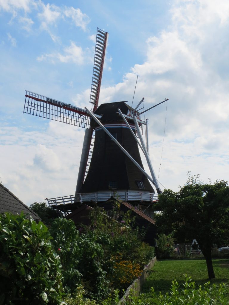 Molen 'Zeldenrust' te Westerwijtwerd.