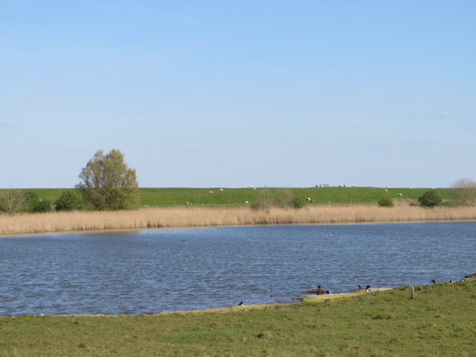 Polder Breebaart