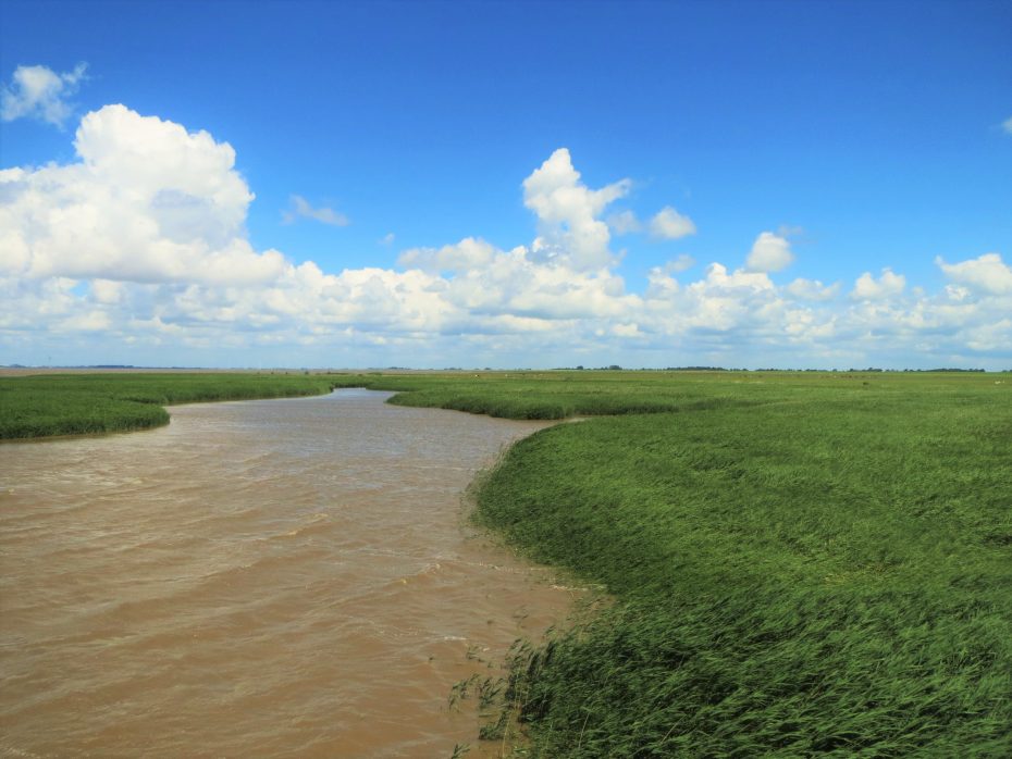 De Dollard bij Nieuwe Statenzijl