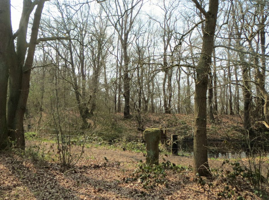 Een oude grenspaal bij Abeltjeshuis