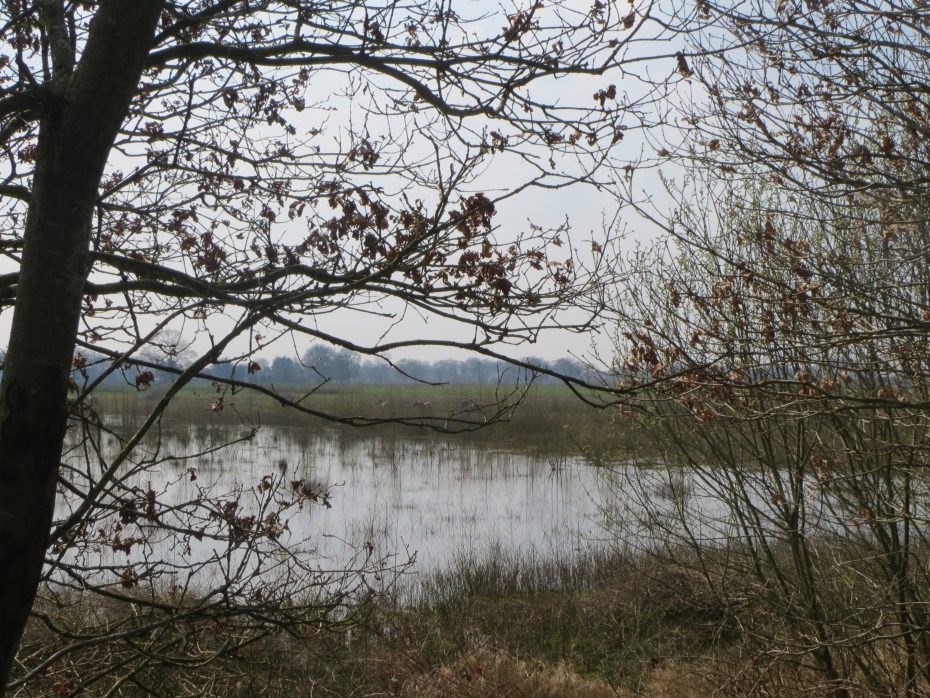 De Linie bij Abeltjeshuis