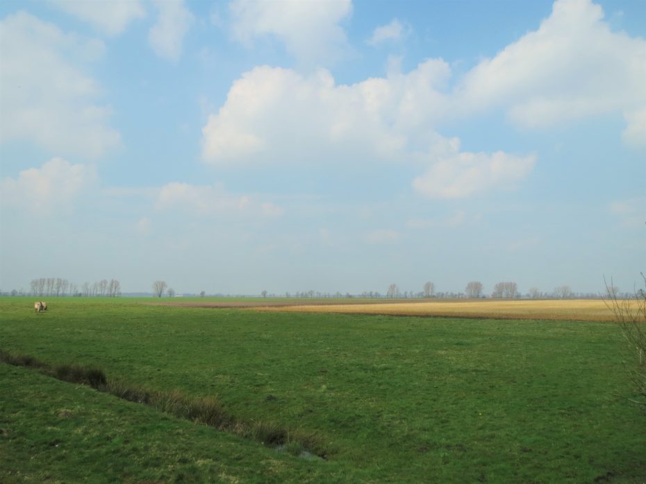 De weidse omgeving rondom Abeltjeshuis